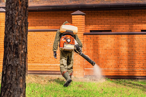 Cockroach Follow-Up and Monitoring in Homeland